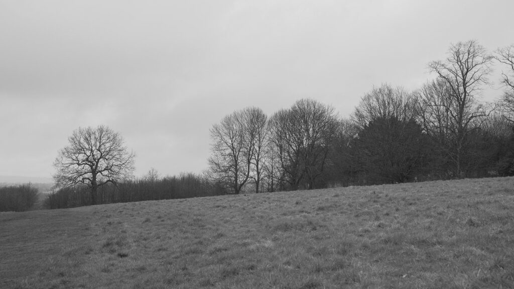 C0061T01-2