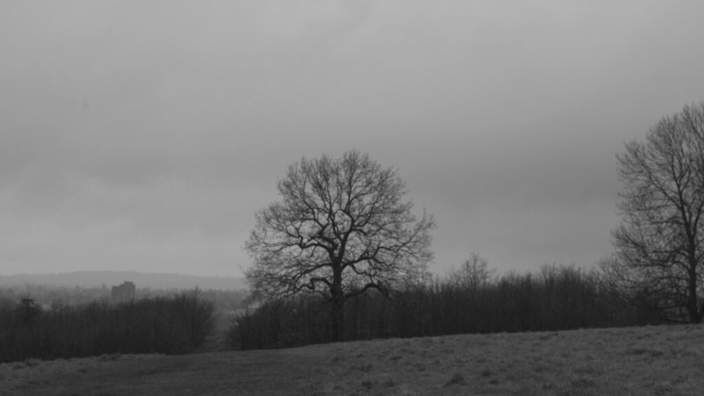 C0064T01-2
