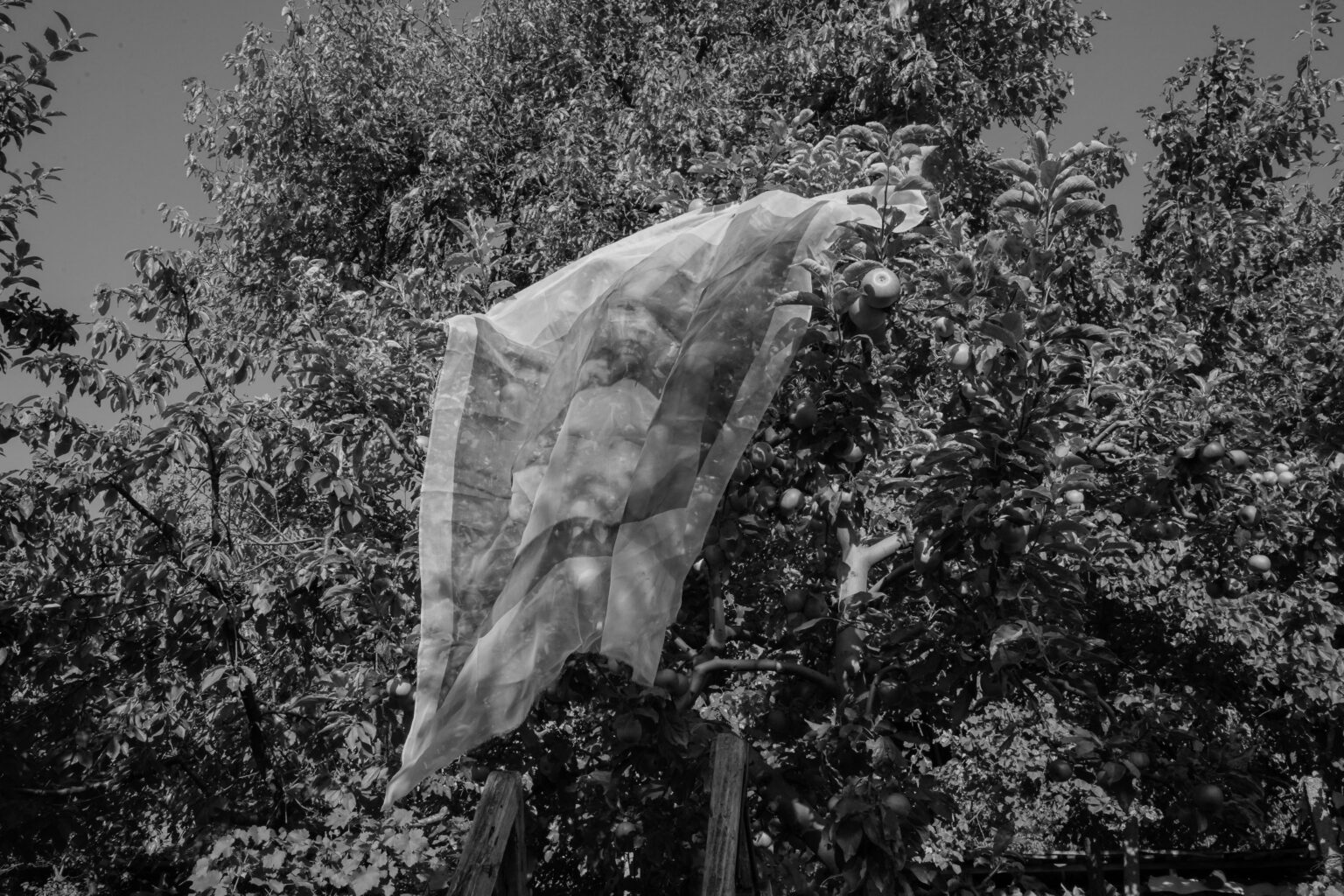 DSC06119-3